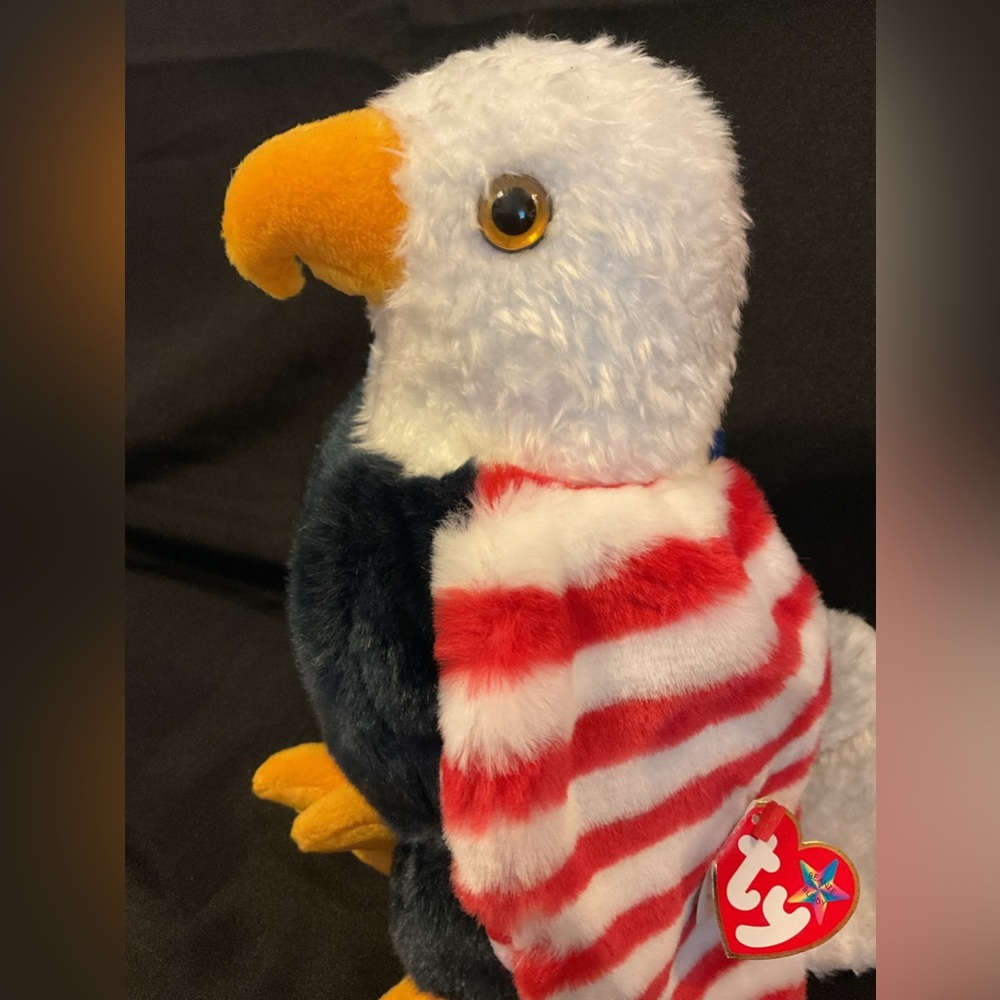 Ty Soar buddy the eagle